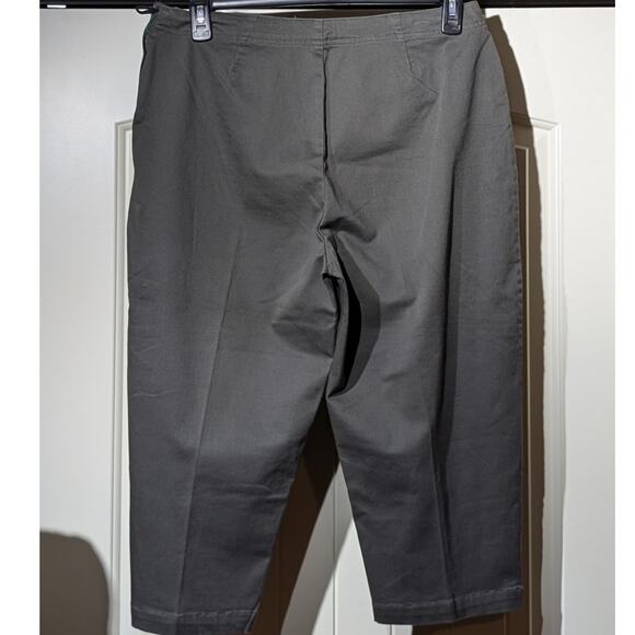 Gloria Vanderbilt Loden Side Zip No Waistband Flat Front Pedal Pusher Pant Sz 14 - Picture 2 of 11